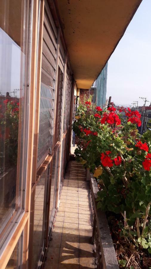 El Laberinto Hospedaje En Casa Morelia Dış mekan fotoğraf